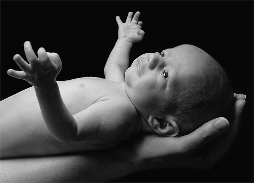 Babyportrait